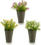 Decoratieve plant Bloem Plastic 12 x 19 x 12 cm (12 Stuks)