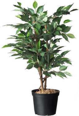 3 stuks Container zwart 1l H10,4x dia. 13,2cm set a 6 stuks Nature