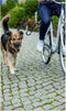 TRIXIE Hondenfietsriemset U-vormig - Afstandshouder met zadelstanghouder - M-XL - grafiet