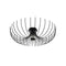 Squid Lighting Plafondlamp - Opilio - 56 x 16 x 16 cm - Ijzer - Zwart