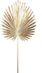 PTMD Twig Plant Palm Kunstblad - 49 x 44 x 110 cm - Goud