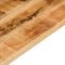 vidaXL - Tafelblad - rechthoekig - 100x20x2,5 - cm - massief - ruw - mangohout