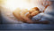 Vitality Pur 4-Seizoenen Dekbed - 200x200 - Tweepersoons - Ademend & Vochtregulerend - Anti Allergie - Luxe Hotelkwaliteit (2 delig)
