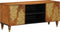 vidaXL - TV - Kast - 105x33x46 - cm - Massief - Mangohout