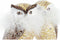 Kerstversiering DKD Home Decor Uil Hars (7,5 x 7,5 x 14 cm) (2 Stuks)