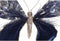 Kerstversiering DKD Home Decor Polyester Vlinder (2 Stuks) (23 x 3 x 19 cm)