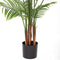 Decoratieve plant Polyurethaan Cement Areca 150 cm