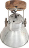 vidaXL Wand-/plafondlampen industrieel 2 st E27 20x25 cm zilverkleurig
