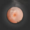 Stadler Form - Zoe - Aroma Diffuser - Geurverspreider - Zwart-50m2