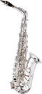 Stagg Alt Saxofoon WS-AS211S