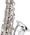 Stagg Alt Saxofoon WS-AS211S