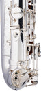 Stagg Alt Saxofoon WS-AS211S
