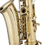 Stagg Alt Saxofoon WS-AS215S