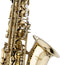 Stagg Alt Saxofoon WS-AS215S