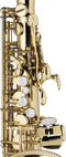 Stagg Alt Saxofoon WS-AS215S
