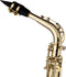 Stagg Alt Saxofoon WS-AS215S