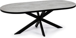 Stalux Eettafel - Tafel Noud - Duurzaam ontwerp - Moderne uitstraling - Ruime tafel - Beton - 240 cm