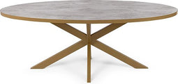 Stalux Ovale eettafel 'Mees' 210 x 100cm, kleur goud / beton