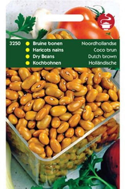 Stambonen Bruine Noordhollandse