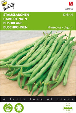Stamslabonen Delinel - Buzzy