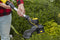 Stanley SFMCSTB933B FatMax V20 18V 33CM Brushless Grastrimmer - SOLO