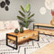 StarFurn Salontafel Boaz met 2 Lades Naturel Mangohout 120cm