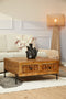 StarFurn Salontafel Brandy Naturel Mangohout 80x80cm
