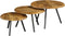 StarFurn Salontafel Ohio Set van 3 Naturel