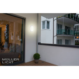 Starlicht 20300538