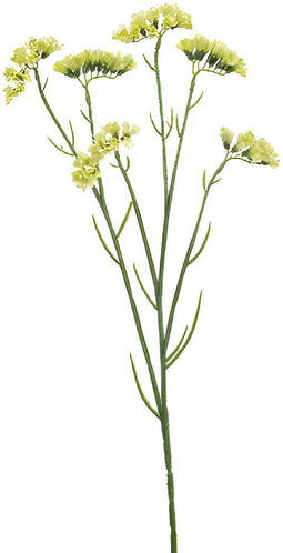 Statice spray green 67 cm Emerald