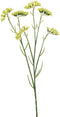 Statice spray green 67 cm Emerald