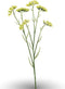Statice spray green 67 cm Emerald