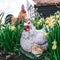 Tuinfiguur broedende kip met kuikens | wit | 19 cm