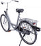 Steco Buggy-Mee de Luxe - Achterdrager