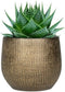 Steege Plantenpot - modern design - goudkleurig - 20 x 22 cm