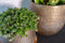 Steege Plantenpot - modern design - goudkleurig - 20 x 22 cm