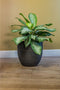 Steege Plantenpot Rinca - zwart - lava look - 25 x 23 cm - Voor binnen