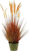 Stekelkamgras in pot 140 cm oranje-groen kunstplant