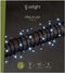 Stella LED, lichtslinger, 40 m, 600 leds, koudwit, groene kabel, voor binnen en buiten, 24 V