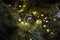 Stella LED, lichtslinger, 8 m, 120 leds, warmwit, groene kabel, voor binnen en buiten, 24 V