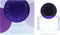 Stella McCartney Pop Bluebell - 30ml - Eau de parfum