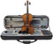 Stentor SR1542 Graduate Vioolset - 4/4