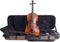 Stentor Viool Arcadia Handmade Pro Series