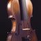 Stentor Viool Arcadia Handmade Pro Series