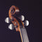 Stentor Viool Arcadia Handmade Pro Series