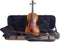 Stentor Viool Arcadia Handmade Pro Series