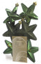 Ster plastic glans-mat-glitter 2x7.5x7.5cm Dennen groen
