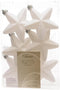 Ster plastic glans-mat-glitter/7.5cm/winterwit
