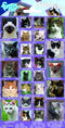Stickervel Katten