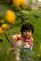 Sticky Lemon Backpack/Boekentas Small Farmhouse - Envelope - Pear Jam